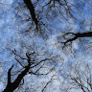 Meet your Posher, Rhonda